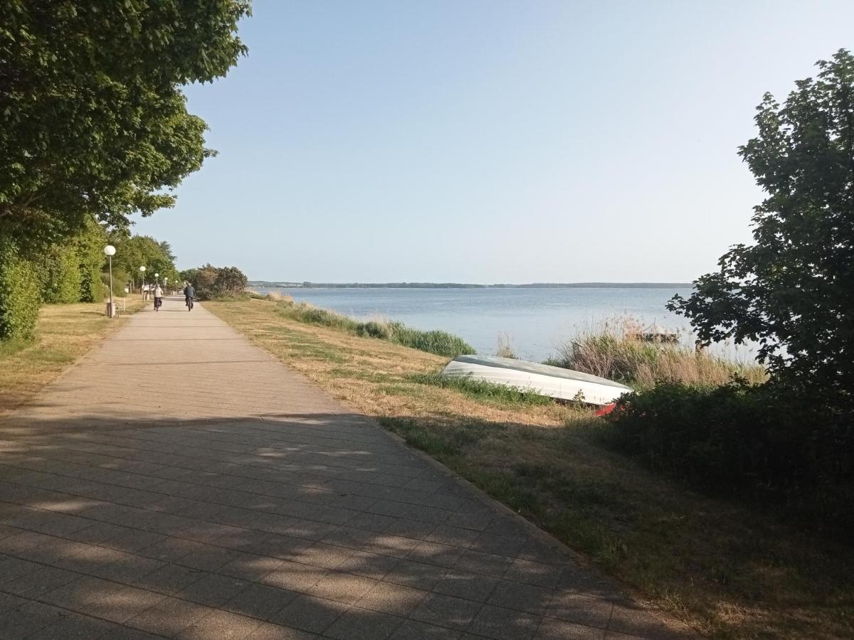 Strandgruen Rerik Εξωτερικό φωτογραφία