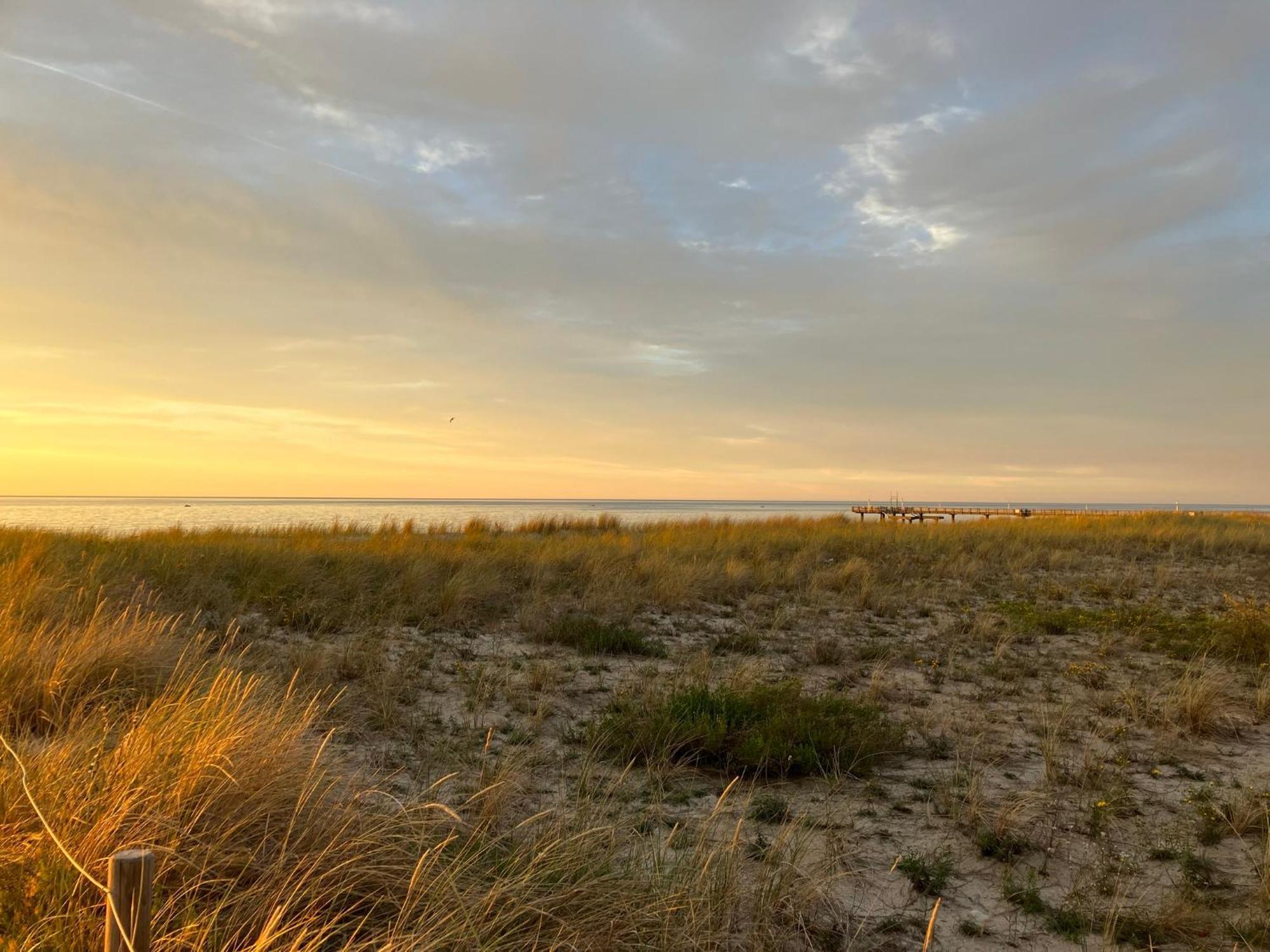 Strandgruen Rerik Εξωτερικό φωτογραφία